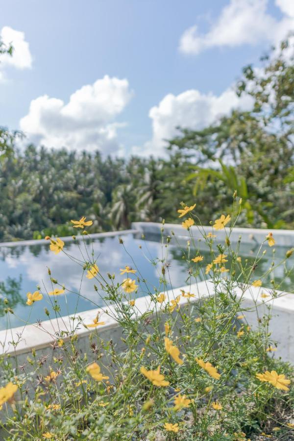 فندق Galalima Glamping By Agata Meliling المظهر الخارجي الصورة